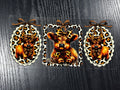 0180