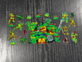 Ninja Turtle